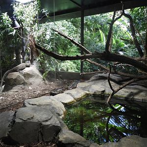 [2022] Burmese python and crocodile monitor enclosures