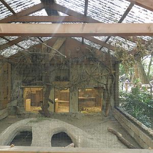 [2022] Plains viscacha and hooded siskin enclosure