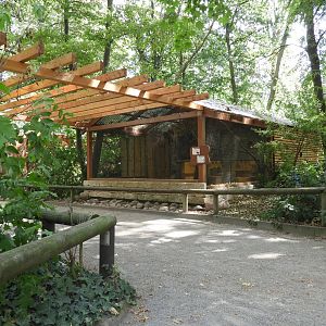 [2022] View towards viscacha and siskin enclosure