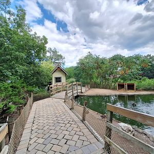 Duck pond pathway