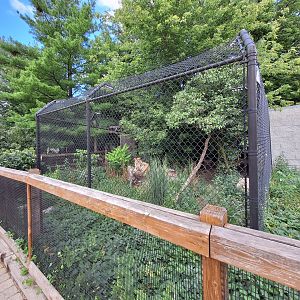 Coyote enclosure front side