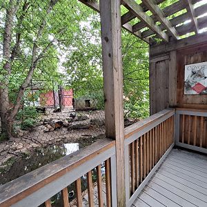 Coyote enclosure back side