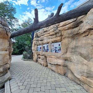 Lynx exhibit pathway