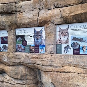 Lynx conservation signage