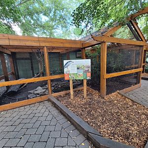 Native bird aviary 1