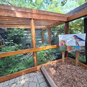 Native bird aviary 2