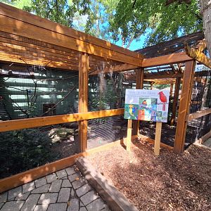 Native bird aviary 3