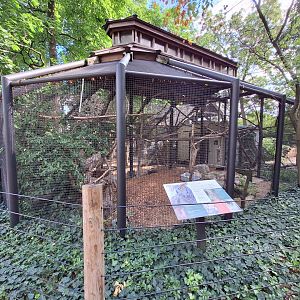 Great horned owl enclosure