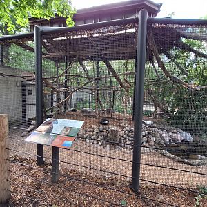Red tailed hawk enclosure