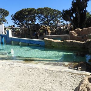 Sea turtle enclosure
