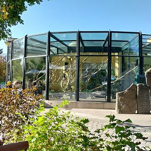 Monkey House - Western colobus enclosure