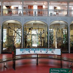 Monkey House interior - White-bearded saki and goeldi's monkey