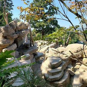 Hillside loop - Enclosure for barbary macaque and barbary sheep