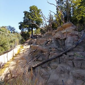 Hill side loop - Enclosure for barbary macaques and barbary sheep