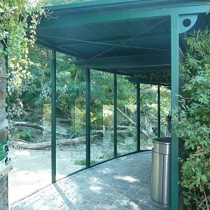 Spectacled bear viewing point