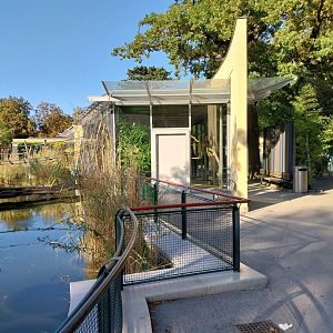 Gibbon and lemur house