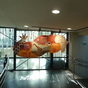 Giraffenpark - first floor
