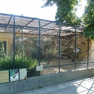 Burrowing parrot aviary
