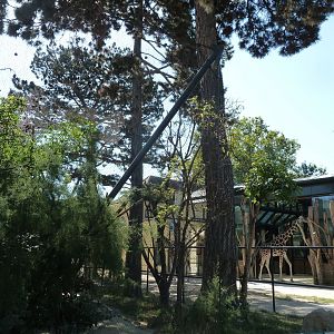 Ost-Afrika House and Von der Decken hornbill aviary