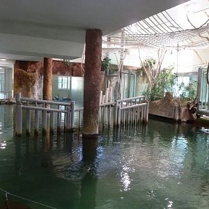 Inside the Hippo house