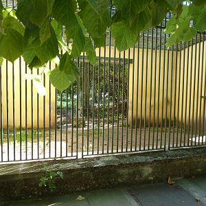 Tiergartenallee - Old carnivore cage and tiger enclosure