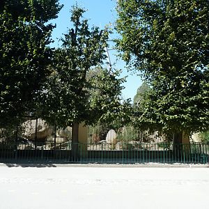 Tiergartenallee - Lion enclosure