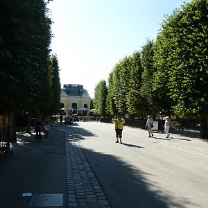 Tiergartenallee