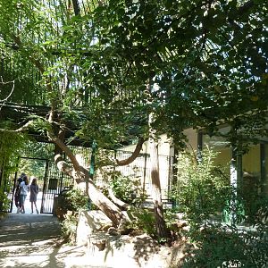 Carnivore House - Former carnivore cage with cheetah viewing point