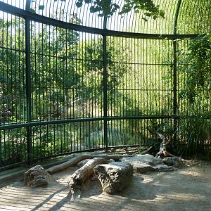 Carnivore House - Former carnivore cage with cheetah viewing point