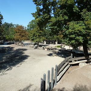 Indian Rhino connected enclosures