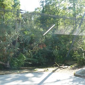 Swift parrot aviary near the Rustenallee entrance