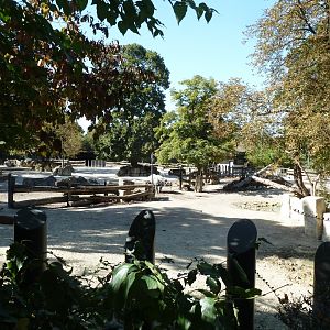 Indian rhino connected enclosures