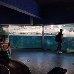 Polarium - Upper viewing point