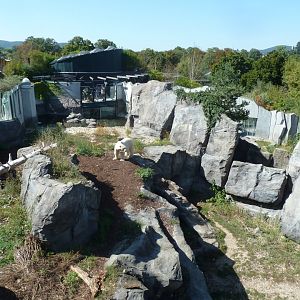 Franz Joseph Land - Main polar bear enclosure