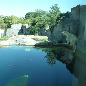 Franz Joseph Land - Polar dome visitors center - Viewing point on main polar bear enclosure