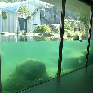 Franz Joseph Land - Polar dome visitors center - Second polar bear enclosure - Underwater viewing