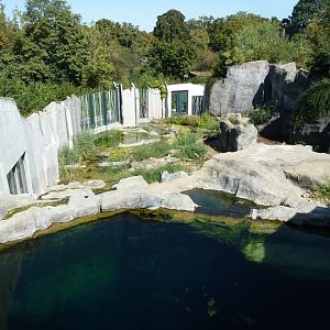 Franz Joseph Land - Polar dome visitors center - Second polar bear enclosure