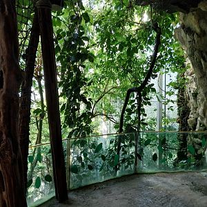 Rainforest House - Upper floor - Grottoe