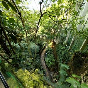 Rainforest House - Upper floor