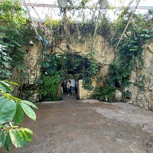 Rainforest House - Upper floor