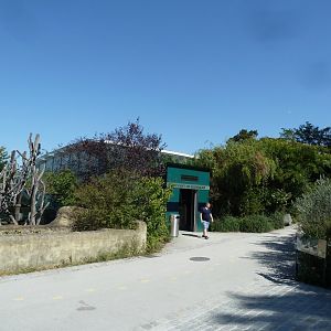 Rainforest House - Upper floor - Entrance polar bear side