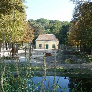 Rotunda - Mixed species encosure for blesbok and common eland
