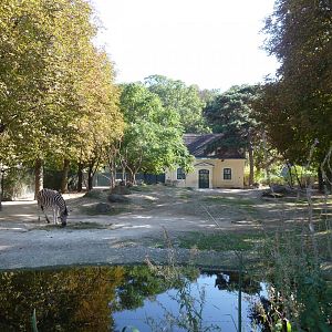 Rotunda - Burchell's zebra enclosure
