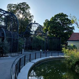 Egyptian vulture aviary