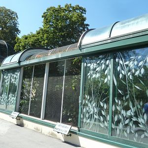 Outside the Birdhouse