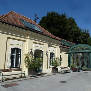 Outside the Birdhouse - African savannah aviary