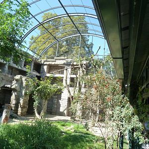 Inside the Walldrap aviary