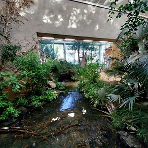 Birdhouse - African savannah - General view