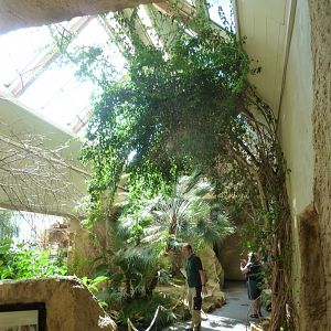 Birdhouse - African savannah - General view