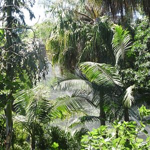 View from reptile walk